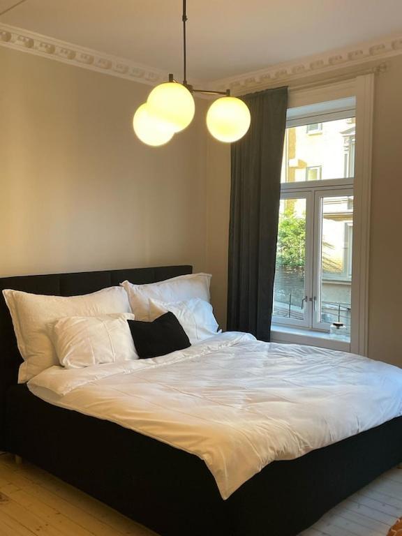 Lovely Central Apartment With Two Large Bedrooms Nearby Oslo Opera, Vis A Vis Botanical Garden Ngoại thất bức ảnh