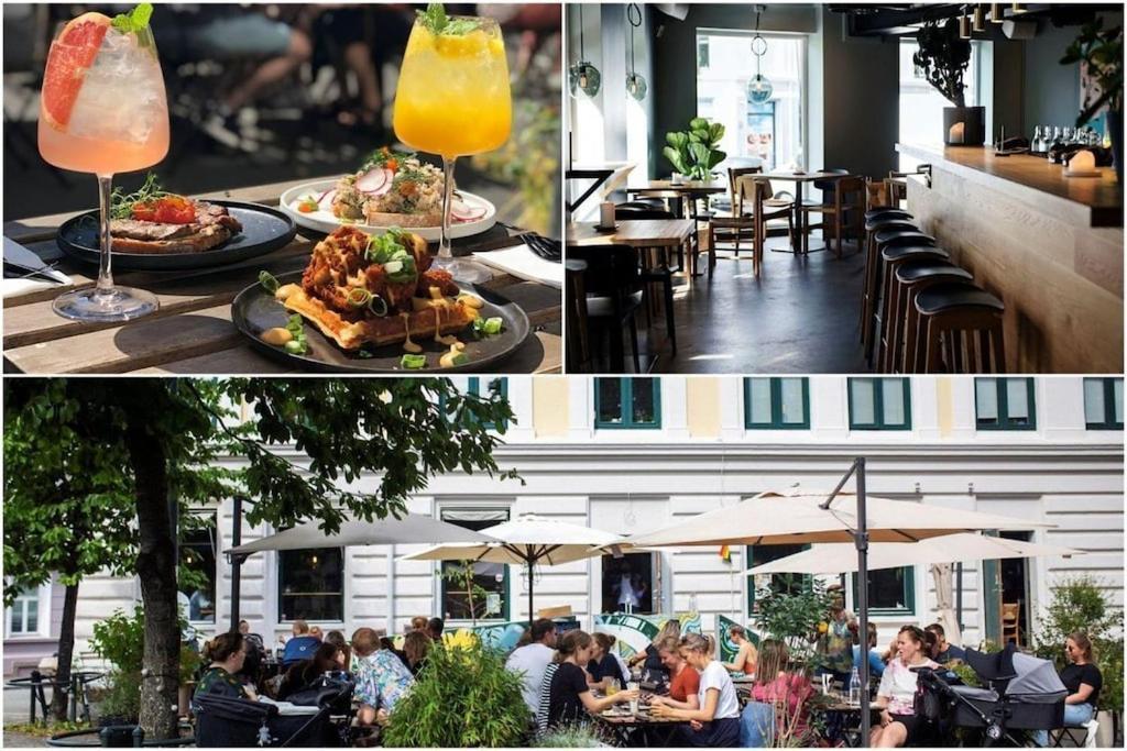 Lovely Central Apartment With Two Large Bedrooms Nearby Oslo Opera, Vis A Vis Botanical Garden Ngoại thất bức ảnh