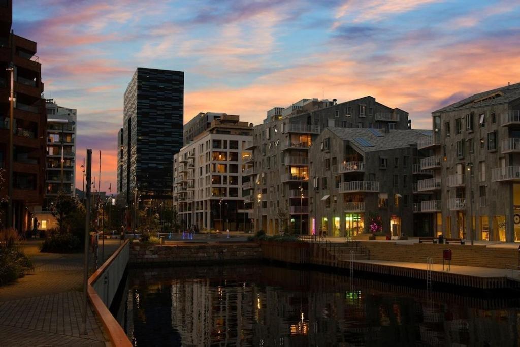 Lovely Central Apartment With Two Large Bedrooms Nearby Oslo Opera, Vis A Vis Botanical Garden Ngoại thất bức ảnh